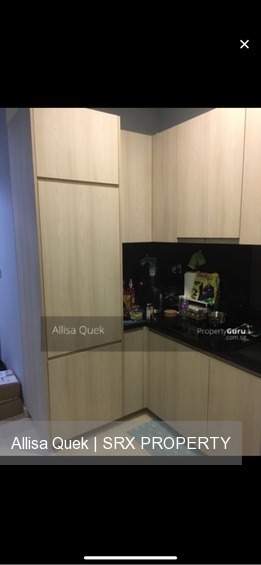 The Promenade@Pelikat (D19), Apartment #207719831